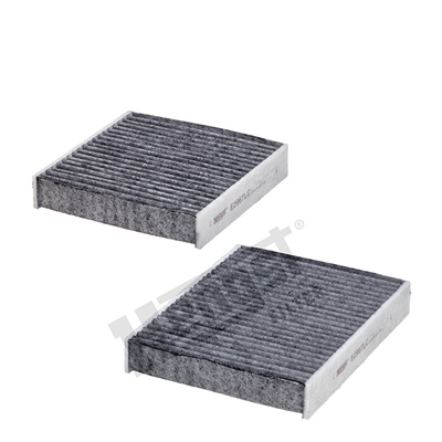Raitisilmasuodatin HENGST FILTER E2967LC-2
