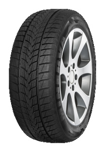 Minerva Frostrack UHP ( 295/35 R21 107V XL )