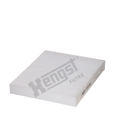 Raitisilmasuodatin HENGST FILTER E2910LI