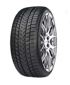 Gripmax Status Pro Winter ( 245/35 R21 96V XL )