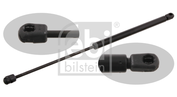 Kaasujousi, takaluukku FEBI BILSTEIN 27758