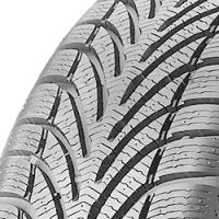 BF Goodrich g-Force Winter (225/50 R16 96H)