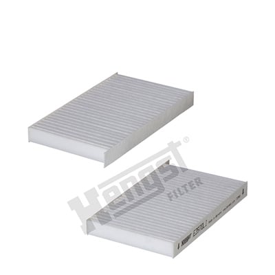 Raitisilmasuodatin HENGST FILTER E3970LI-2