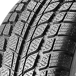 Sunny SN3830 ( 225/55 R19 99V )