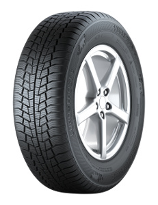 Gislaved Euro*Frost 6 ( 195/65 R15 91T )