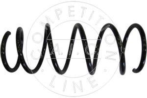Jousi (auton jousitus), Etuakseli, Oikea, Vasen, NISSAN KUBISTAR Skåp, RENAULT KANGOO, KANGOO Express, 54010-00QAM, 8200 666 438, 82006-