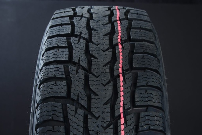 215/65R15 NOKIAN WR C3 C-DÄCK FRIKTION