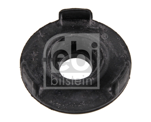 Kiinnitys, tasauspyörästö FEBI BILSTEIN 36485