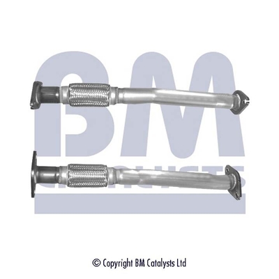 Pakoputki BM CATALYSTS BM50265