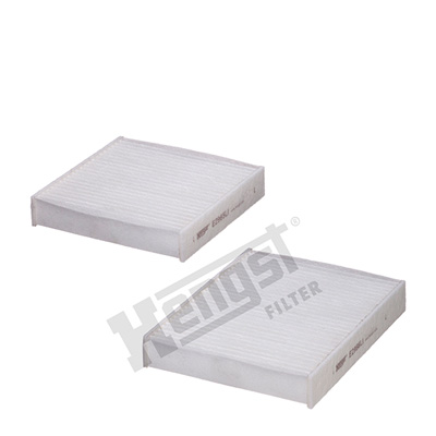 Raitisilmasuodatin HENGST FILTER E2967LI-2
