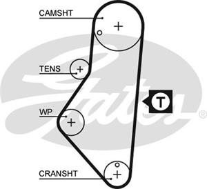 Hammashihna, CITROËN,FIAT,LANCIA,PEUGEOT, 0816.48, 0816.60, 0816.62, 0816.71, 081648, 081660, 081662, 081671, 71739922, 95639605, 960585