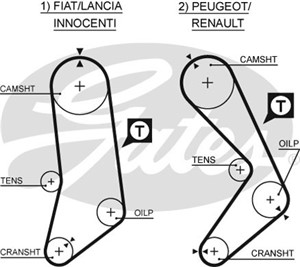 Hammashihna, FIAT,LANCIA,PEUGEOT,RENAULT, 0816.19, 081619, 31 20 3 450 600, 31 22 6 751 978, 31 22 6 783 913, 31203450600, 31226751978,