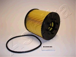 Öljynsuodatin ASHIKA 10-ECO030