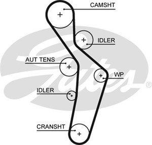 Hammashihna, AUDI A3, A3 Sportback, A4, A4 Avant, VW GOLF V, TOURAN, 06D109119