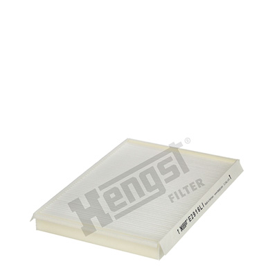 Raitisilmasuodatin HENGST FILTER E2916LI